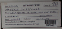 Image Associated With the Occurence